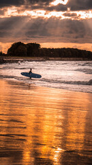 Surfer at sunset on the coast