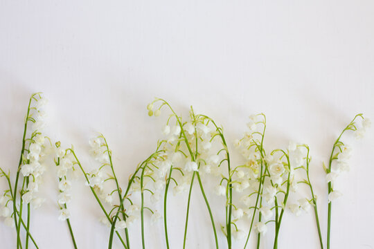 lilies of the valley on a white background. view from above. background with place for text. High resolution photo. Selective focus.