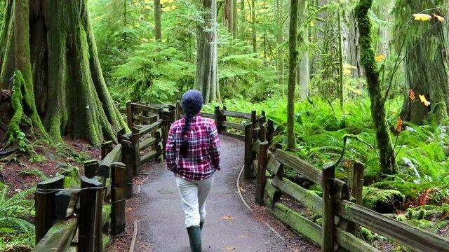 macmillan provincial park vancouver island