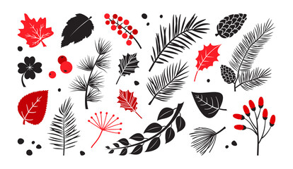 Leaves, branch, tree, berry vector set, autumn and winter plants, hand drawn elements on white background. Nature illustration © Sylfida