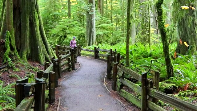 macmillan provincial park vancouver island