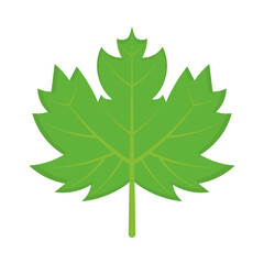green maple leaf icon