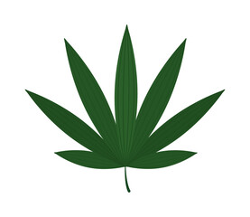 Fototapeta na wymiar lupin leaf icon