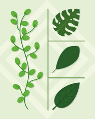 tropical leaves icon set