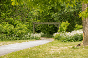 Chemin avec une courbe dans la forêt en été avec une structure de bois à l'entrée