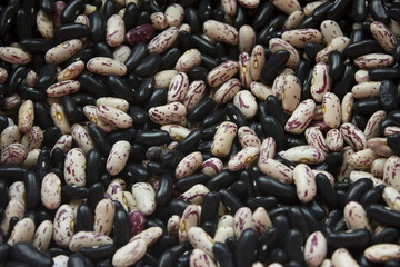 black and patterned kidney beans. (Delicious mottled, raw common beans)
