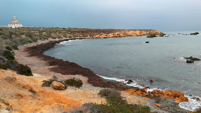 Playa  natural en la  Isla de Tabarca con algas en la orilla y Faro, Alicante, Espa&ntilde;a
