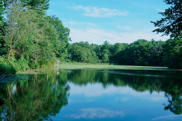 Fototapeta na wymiar Tranquility of Kingsbury pond Medfield MA USA