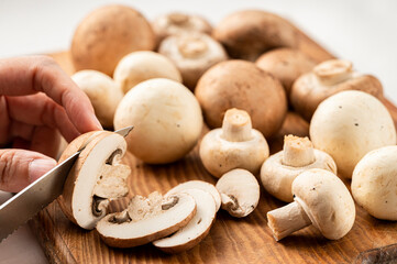 マッシュルーム