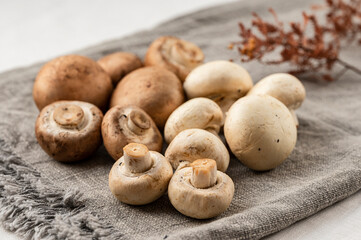 マッシュルーム