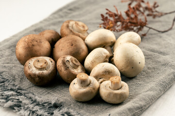 マッシュルーム