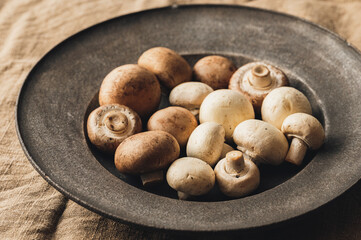 マッシュルーム