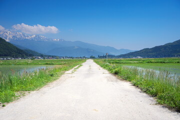 Fototapeta na wymiar 晴れた日の美しい農村の道