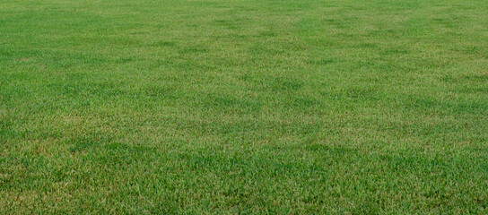 Green grass texture background Top view of bright grass garden Idea concept used for making green backdrop, lawn for training football pitch, Grass Golf Courses green lawn pattern textured background
