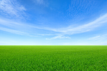 Green sloping meadows with blue sky and clouds background.
