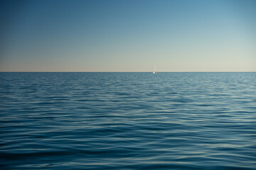 Obraz premium Humpback whale watching sunset tour, Exmouth - Western Australia