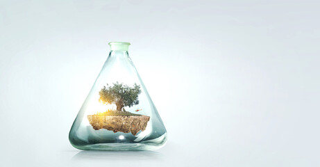 Tree growing inside clear glass bottle . Mixed media . Mixed media