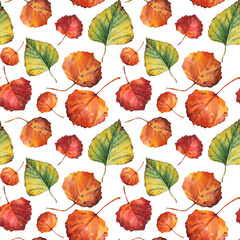 Seamless pattern watercolor hand-drawn autumn yellow green red leaves on white background. Forest nature plant foliage. Creative clipart for  halloween, sticker, wallpaper, wrapping, sketchbook