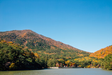 Autumn mountain and lake at Busan Children's Grand Park in Busan, Korea