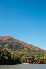 Obraz premium Autumn mountain and lake at Busan Children's Grand Park in Busan, Korea