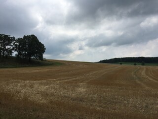 Fototapeta premium beautiful countryside