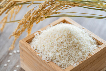 米　新米　白米