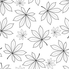 Fototapeta na wymiar Black and white background. Chestnut leaves on a white background.