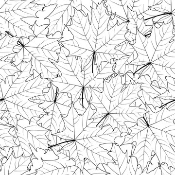 Black and white seamless pattern. Maple leaves on a white background.