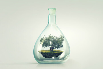 Tree growing inside clear glass bottle