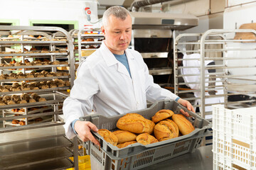 Confident bakery worker carrying plastic box with freshly baked loaves..