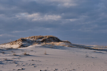 Horizontal image of New Jersey's Island Beach State Park and the Protected and endangered sand dunes in late afternoon light on an empty beach