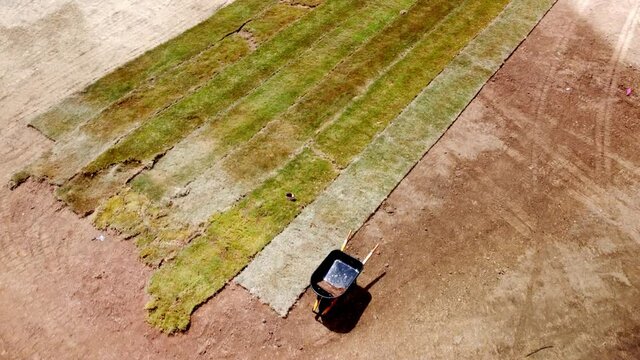 New sod grass being laid on field
