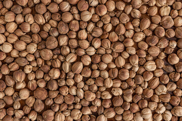 Top view close-up photo image for a group of dry cardamom for background, seeds skin texture, pods surface pattern.