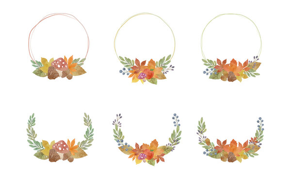 木の実 Images Browse 22 980 Stock Photos Vectors And Video Adobe Stock