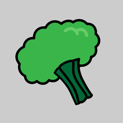 Broccoli fresh vegetable vector illustration