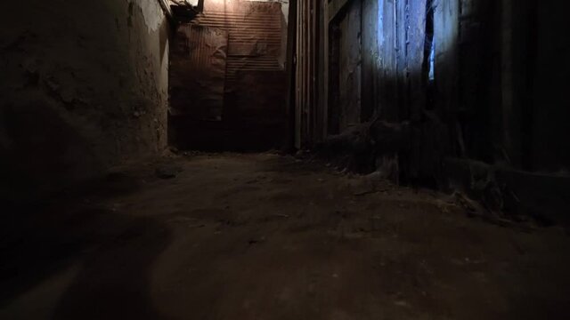 Shine a flashlight in the dark.Walk through an old dark underground basement or a closet in an old house.An old underground passage with many doors in the old manor house.A gloomy corridor or a tunnel