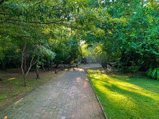 スリランカのコロンボにあるホテルにアーユルヴェーダを受けるために旅行している風景  A view of a hotel in Colombo, Sri Lanka, where I am traveling to receive Ayurveda treatment. 
