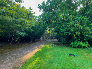 スリランカのコロンボにあるホテルにアーユルヴェーダを受けるために旅行している風景 A view of a hotel in Colombo, Sri Lanka, where I am traveling to receive Ayurveda treatment. 