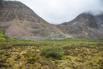 Obraz premium Backcountry trail in northern Canada during summer time just south of the arctic circle. Clouds covering the vast landscape. 