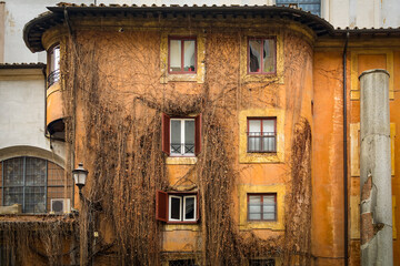 Old building covered with dry vines, Rome, Italy