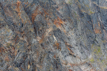 Side of natural mountain rock, slate in Canadas sub arctic region during summer time. Great for background, design use. 