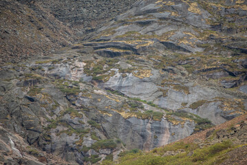 Side of natural mountain rock, slate in Canadas sub arctic region during summer time. Great for background, design use. 