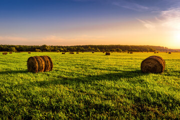 A field with haystacks on a summer or early autumn evening with a cloudy sky in the background....