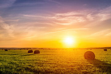 A field with haystacks on a summer or early autumn evening with a cloudy sky in the background....