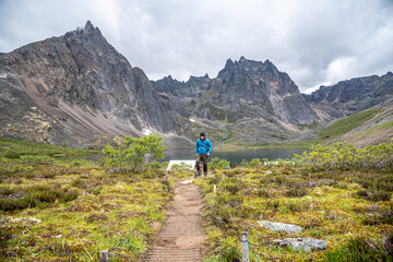 Fototapeta premium Man in blue jacket hiking through Tombstone Territorial Park during summer with towering mountain peaks behind. 