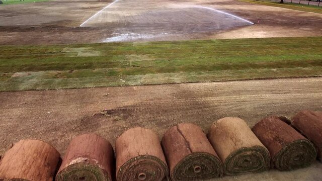 Large rolls for fresh grass sod