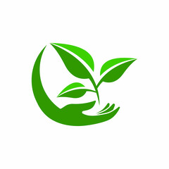 Fototapeta na wymiar Leaf icon Vector Illustration design Logo template