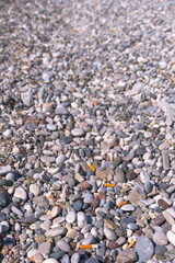 cigarette butts on the beach