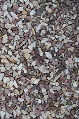 background from a pile of dried fruit