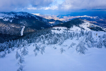 Obraz premium Panorama of the ski resort Kopaonik in Serbia. Kopaonik National Park, winter landscape in the mountains, coniferous forest covered with snow